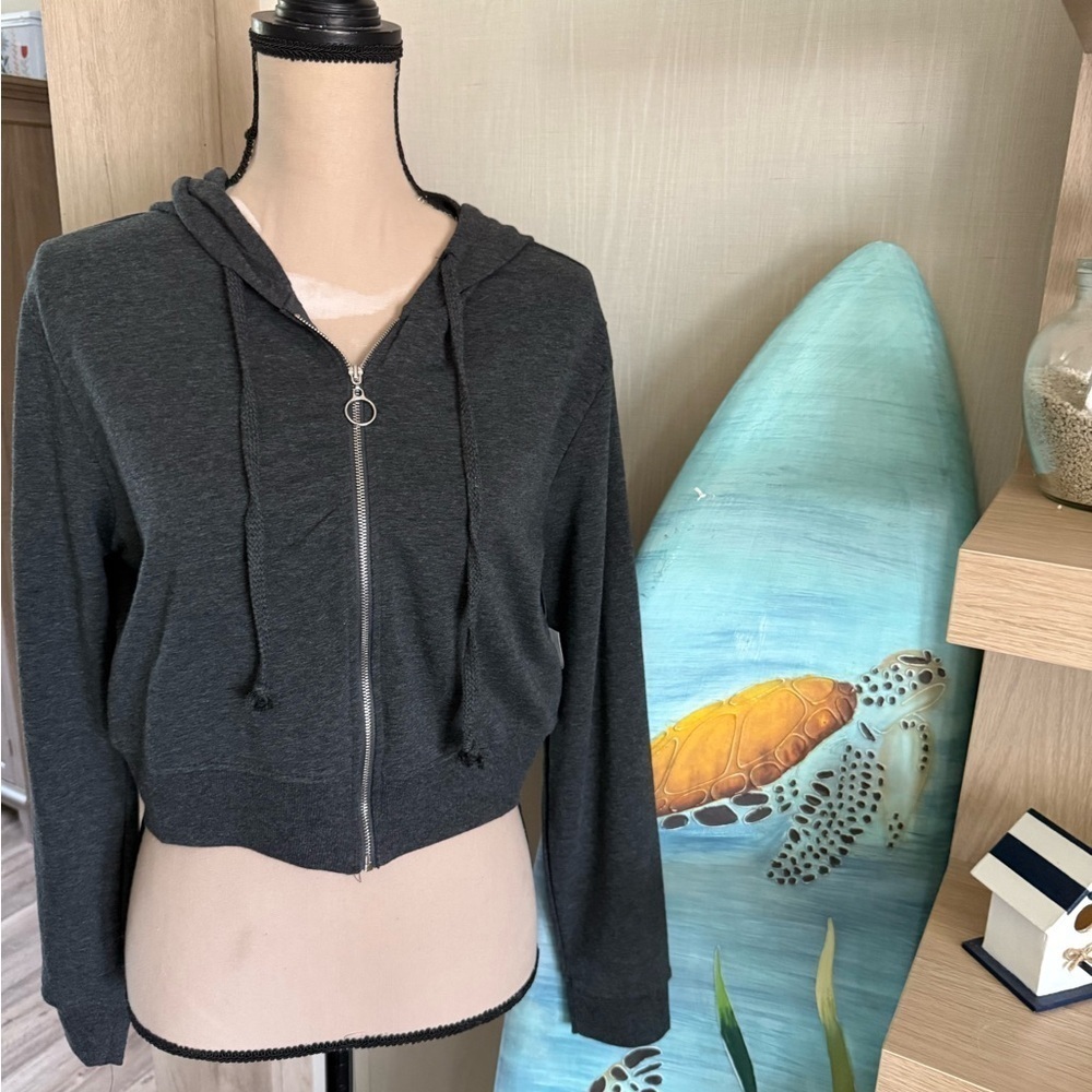 Ambiance Gray Cropped Hoodie Relaxed Fit